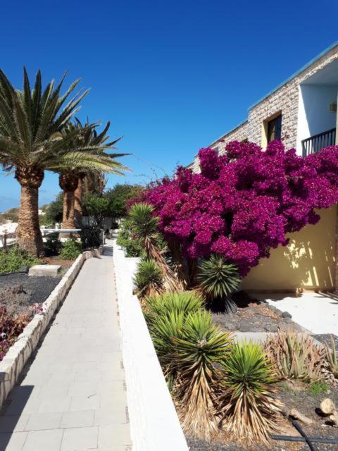 Maravilla Bungalows El Cotillo  Exterior photo